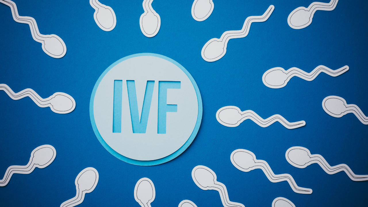 IVF Treatment Introduction