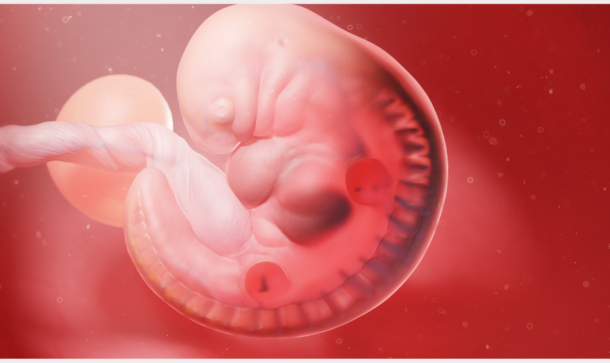 Day 3 vs Day 5 Embryo Transfer in IVF | Dr. Katha Desai Mumbai