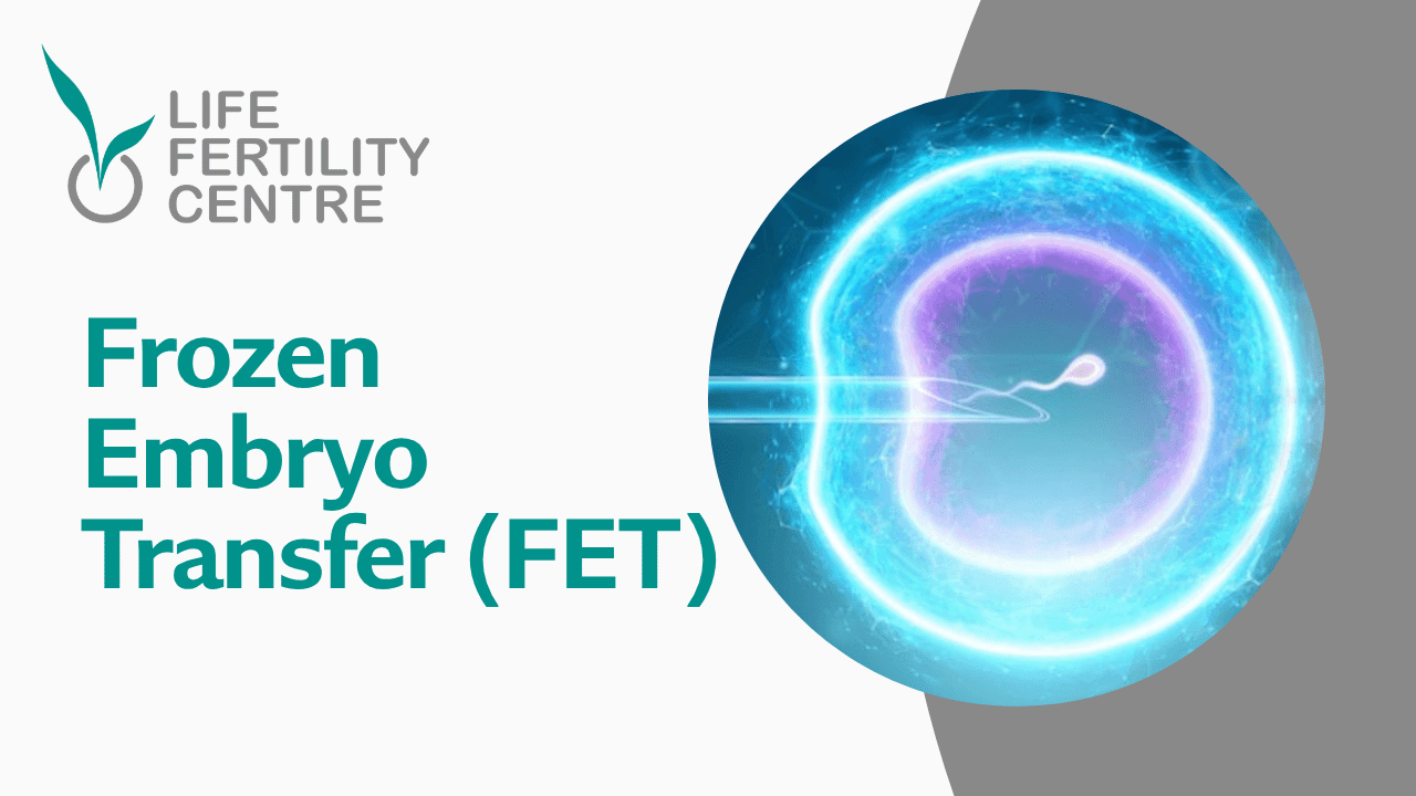 Frozen Embryo Transfer (FET): Benefits, Process & Success Rates in IVF | Dr. Katha Desai Mumbai