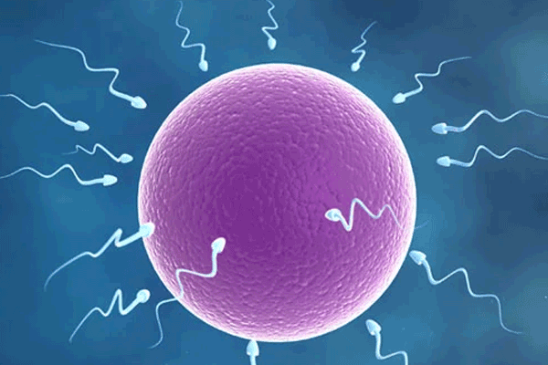 IUI under the expert care of Dr. Katha Desai