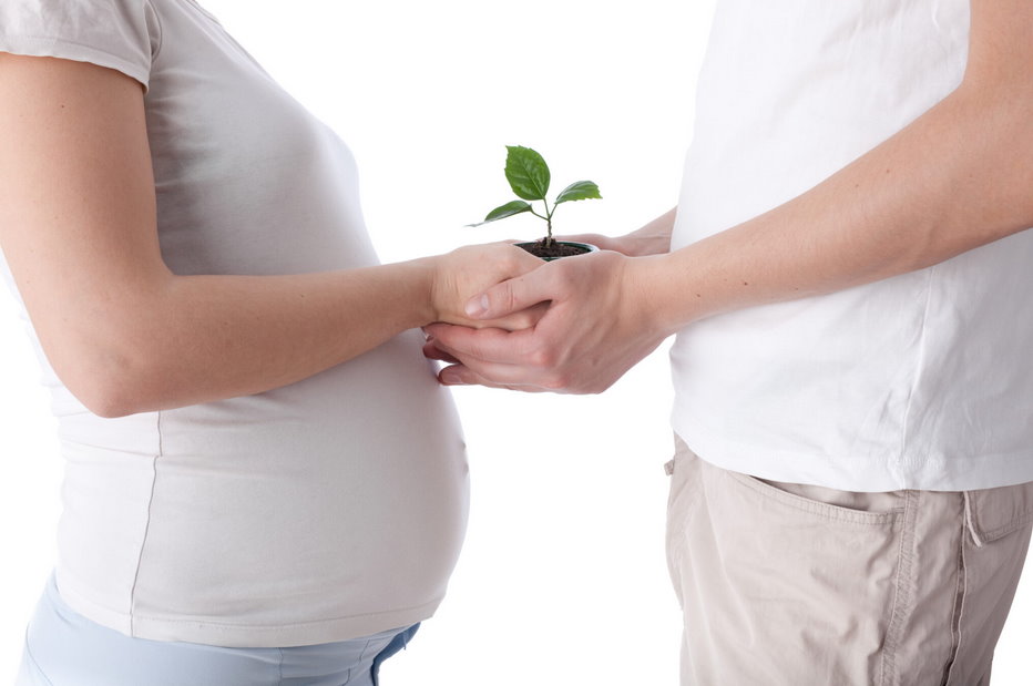 Fertility First Steps - Counselling for Planning Naturally